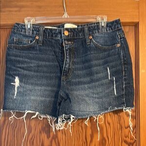 Denim Distressed Women's Shorts